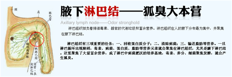 英国瑞宁宜德顿多少钱一盒